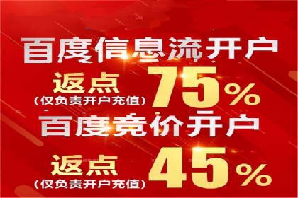 百度推广费用投入与品牌知名度提升的案例分析
